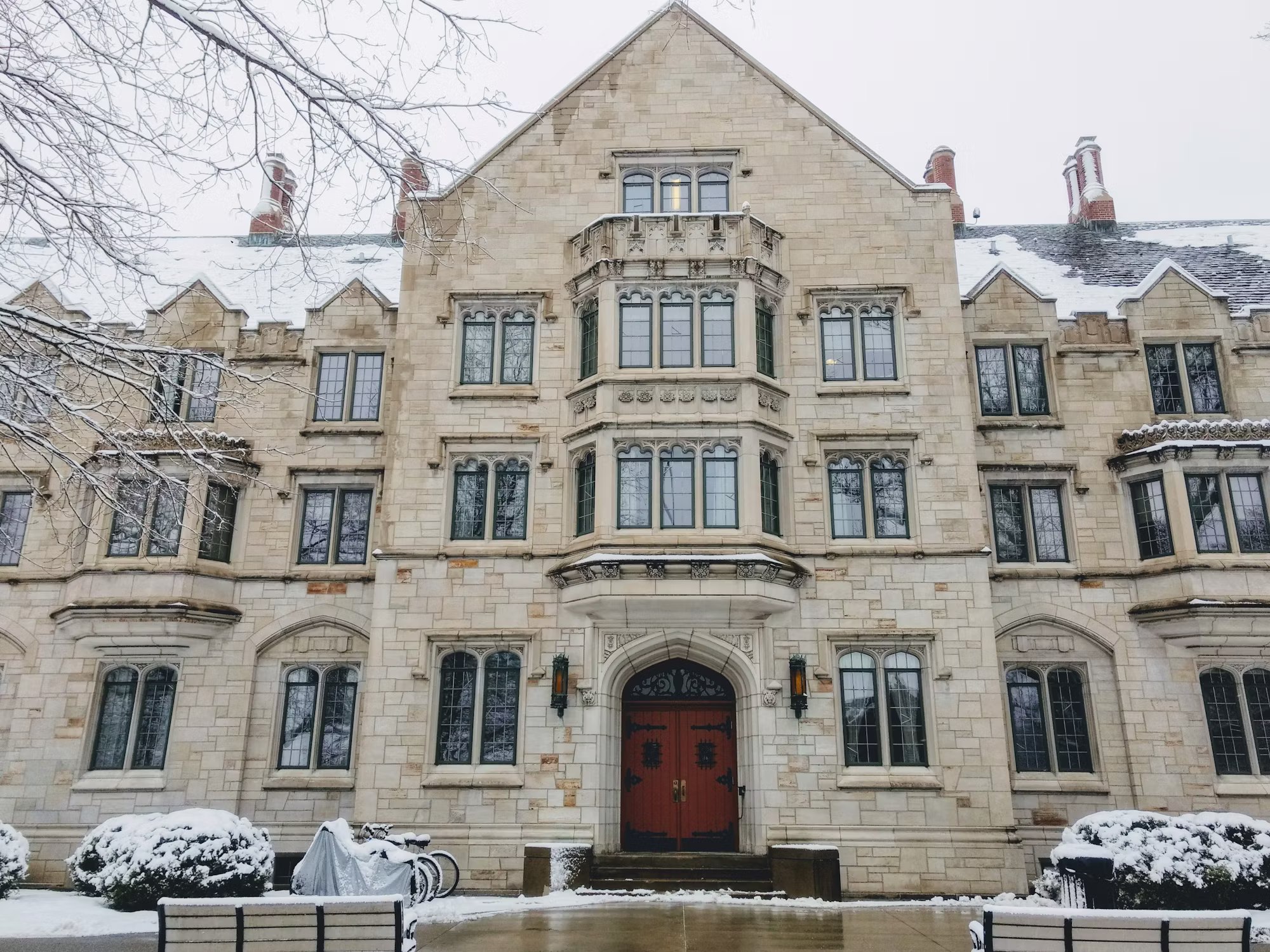 Cultivating Critical Thinking: The Key to Academic Success in Higher Education